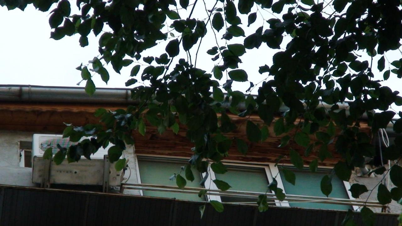 Studio French Embassy, Amzei Historic Center Bukarest Kültér fotó